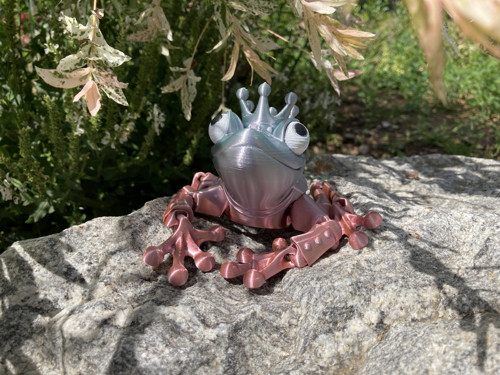 Flexi žába - zakletý princ, 3D tisk — foto 4