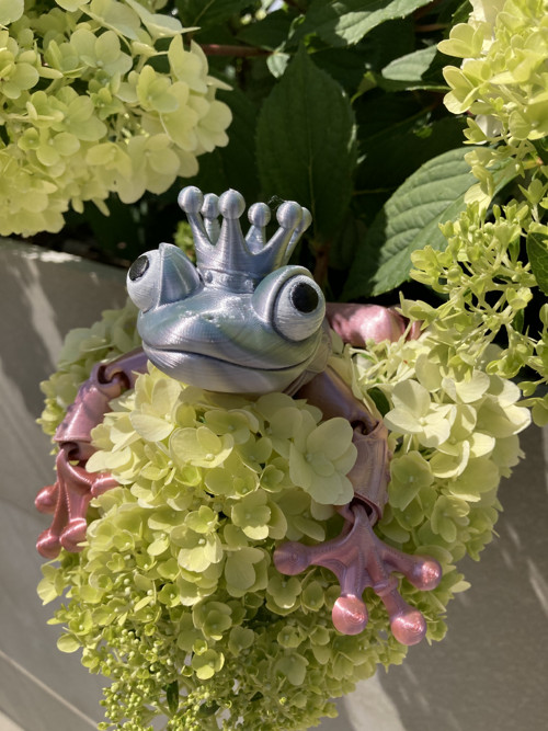 Flexi žába - zakletý princ, 3D tisk — foto 2