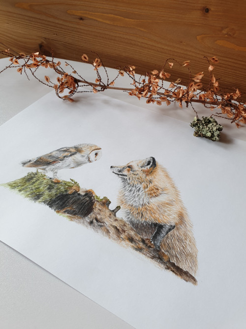 Print kresby Líška a sova Stretnutie — foto 2