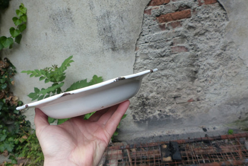 Květy modré... smaltovaný talíř — foto 3