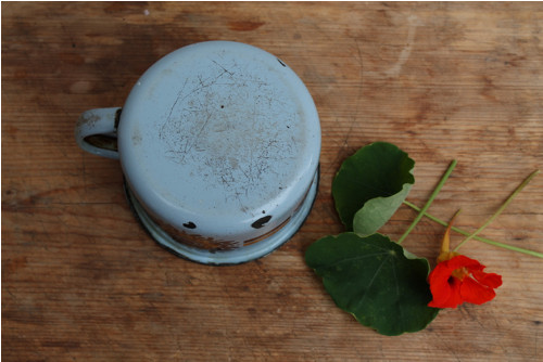 Plecháček modrý vzor 10 cm — foto 5