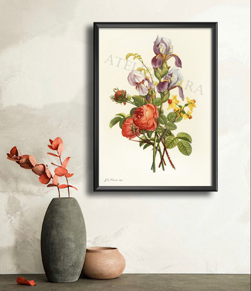 Z herbáře — foto 5