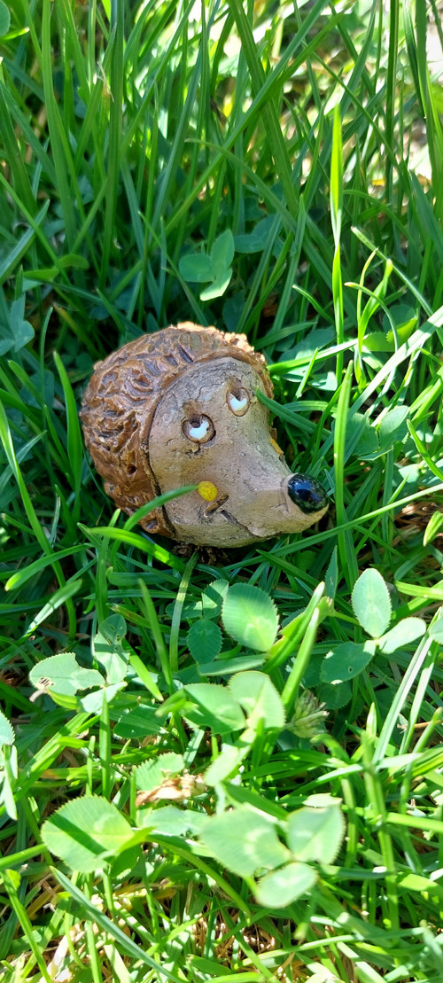 Ježci — foto 2