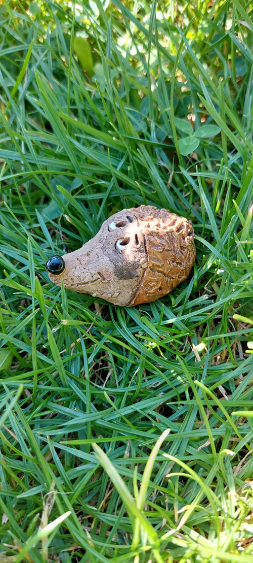 Ježci — foto 5