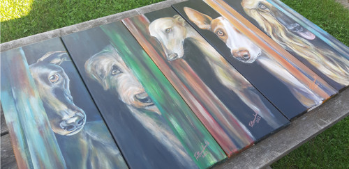 "Kuk!" - greyhound — foto 3