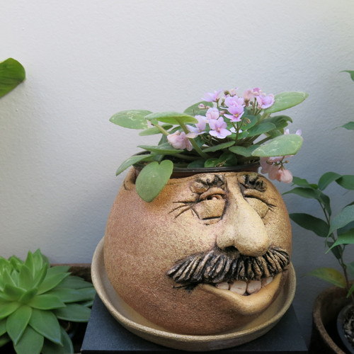 KVĚTNÍK-VALOUN..... — foto 3