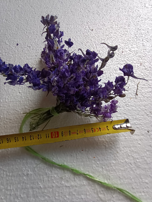 Ostrožka — foto 3