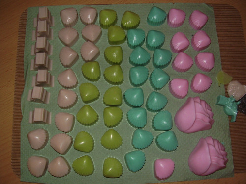 Pryžová forma - mušle — foto 3