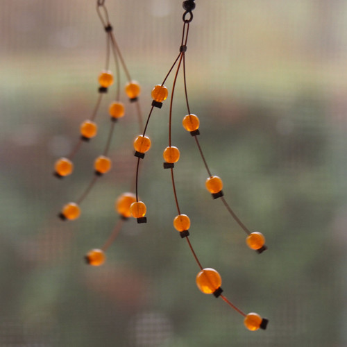 Oranžády — foto 2