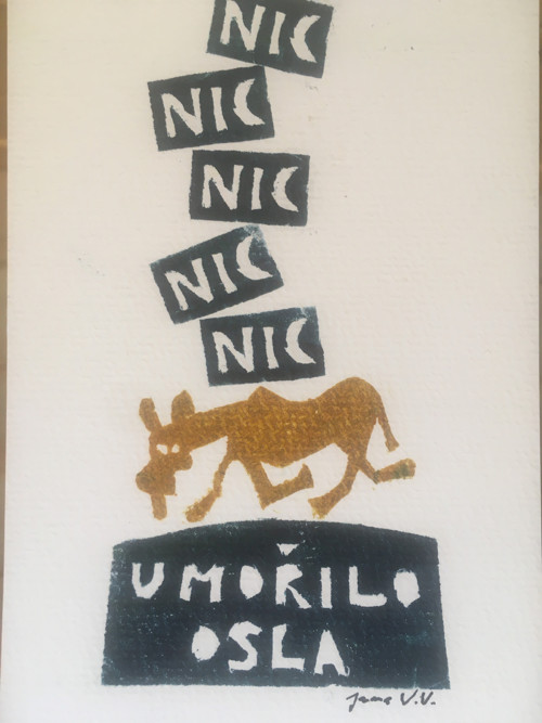 Nic umořilo osla — foto 3