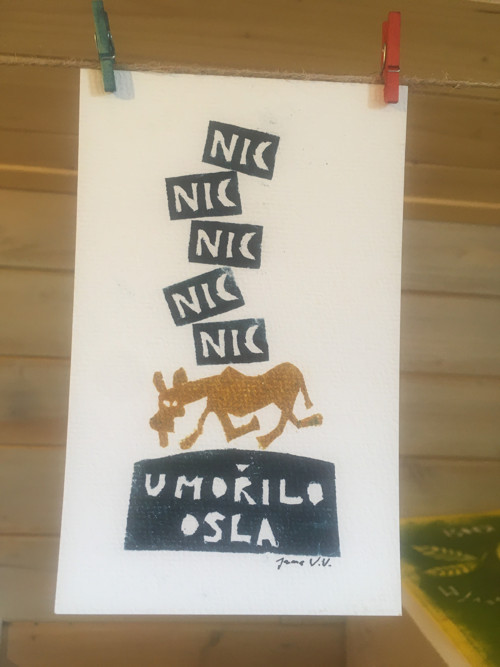 Nic umořilo osla — foto 4