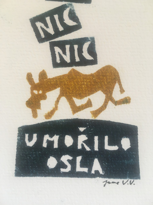 Nic umořilo osla — foto 2