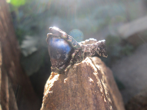 Prsten ,, Irnimit " — foto 5