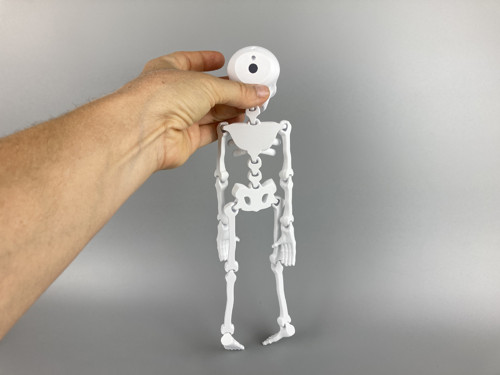 Kosťák - flexi figurka, bílá, 3D tisk — foto 2