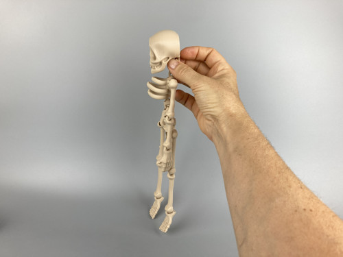 Kosťák - flexi figurka, béžová, 3D tisk — foto 2