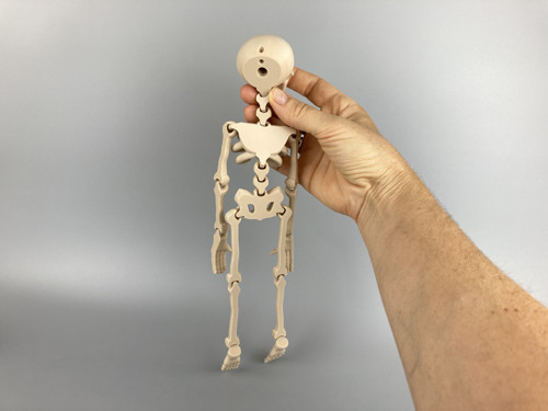 Kosťák - flexi figurka, béžová, 3D tisk — foto 3