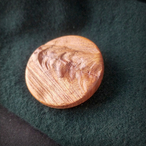 TRILOBIT ii dřevěná brož — foto 4