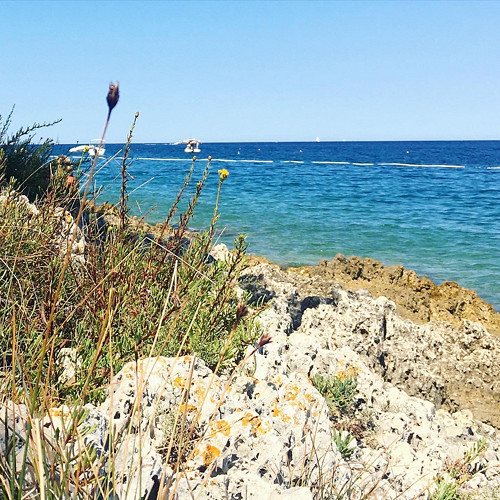 Kamenitá pláž — foto 4