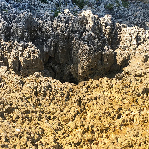Kamenitá pláž — foto 6