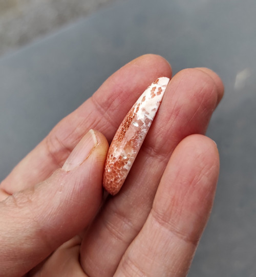 Skolecit, ID 2577, 34x18 mm — foto 5