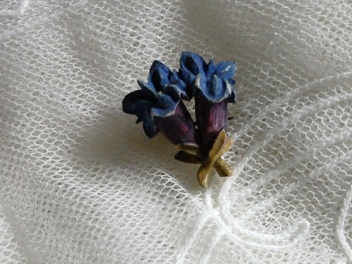 Gentiana - brož — foto 3