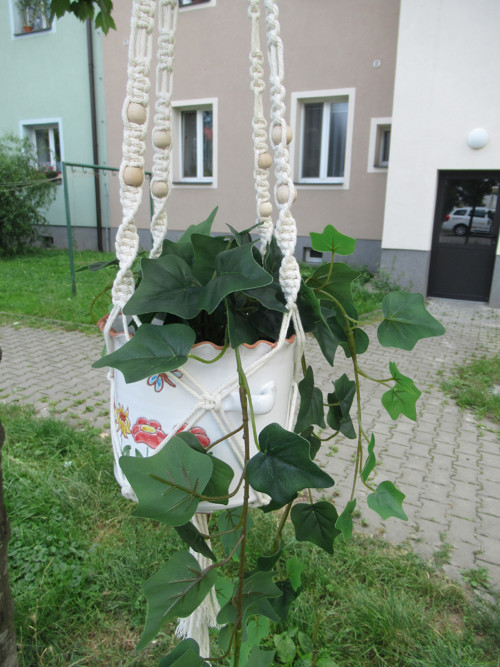 Závěsný květináč — foto 4