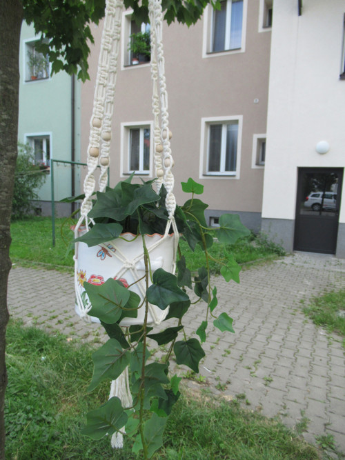 Závěsný květináč — foto 3