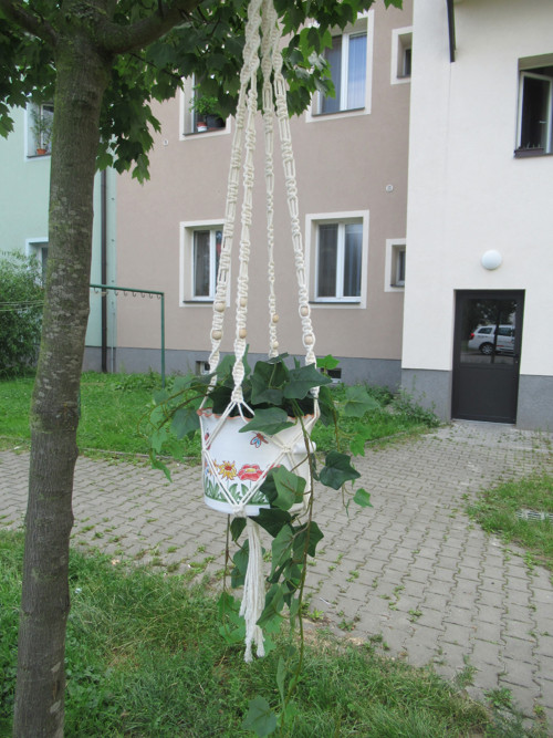 Závěsný květináč — foto 2