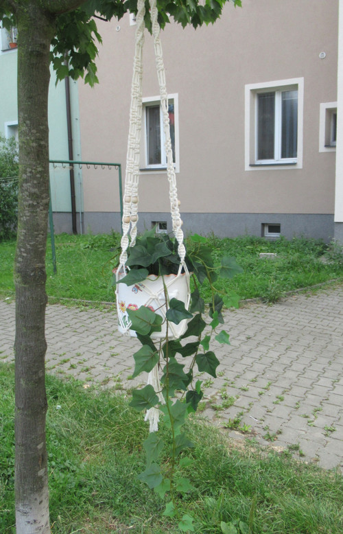 Závěsný květináč — foto 6