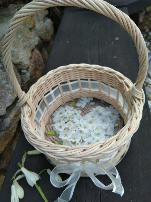 Bílé srdce — foto 2