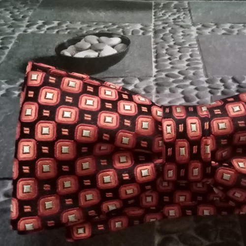 Motýlek pro každý den — foto 2