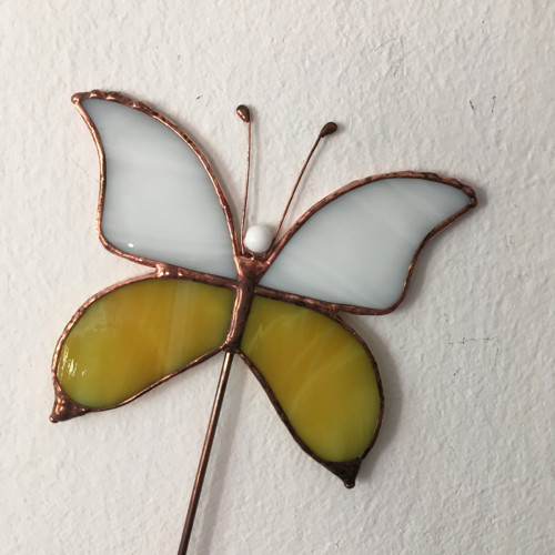 Motýl — foto 4
