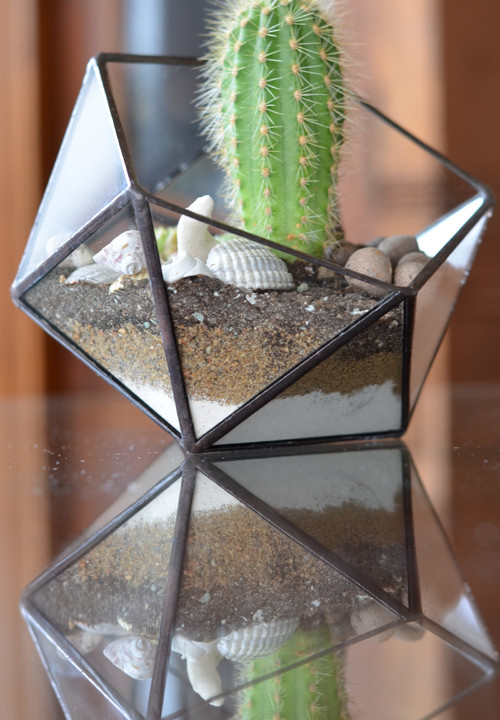 Florarium "Koulička" — foto 2