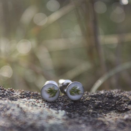 Vřesové mini náušnice 6 mm — foto 5