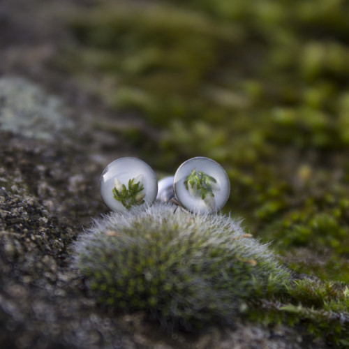 Vřesové mini náušnice 6 mm — foto 6