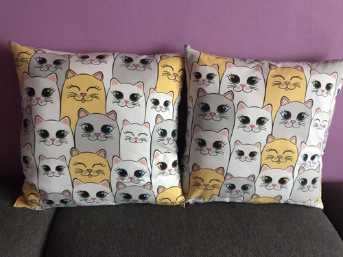 Kočičí parta — foto 3