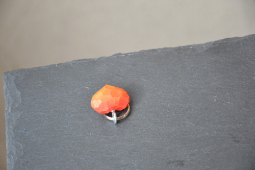 Srdcovka klíčová - orange — foto 3