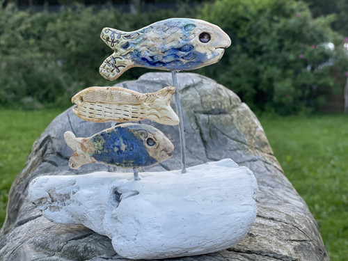 Ryby a driftwood, útes — foto 2