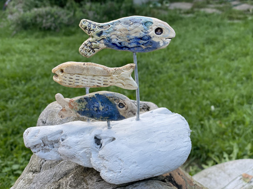 Ryby a driftwood, útes — foto 3