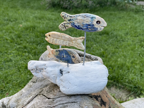 Ryby a driftwood, útes — foto 4
