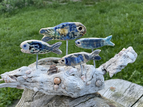 Ryby a driftwood, velký útes — foto 2
