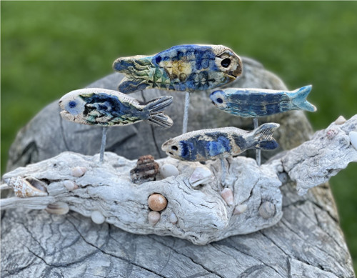 Ryby a driftwood, velký útes — foto 3