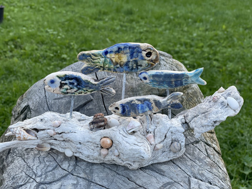 Ryby a driftwood, velký útes — foto 5