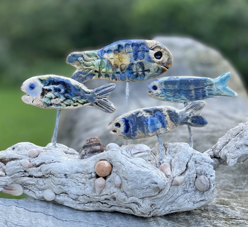 Ryby a driftwood, velký útes — foto 4
