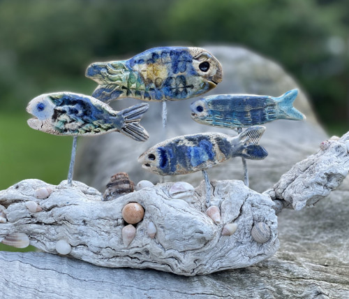Ryby a driftwood, velký útes — foto 6