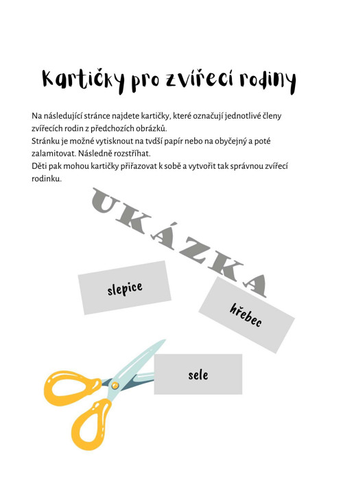 Domácí zvířata — foto 4