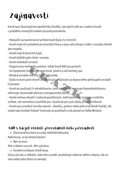 Domácí zvířata — foto 3