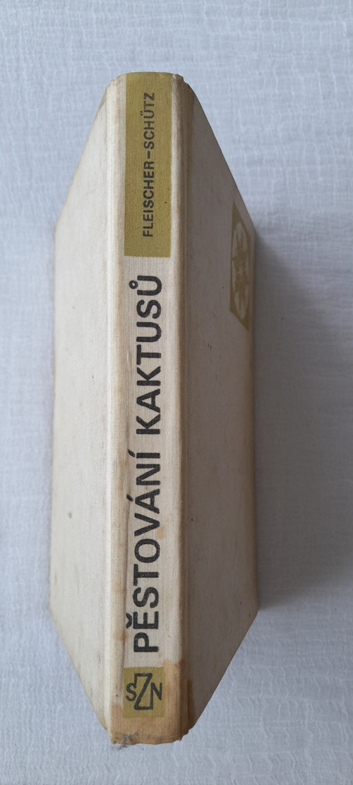 Pěstování kaktusů — foto 2