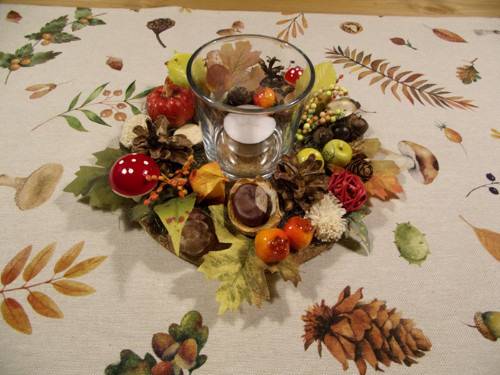 Lesní snění - běhoun — foto 3