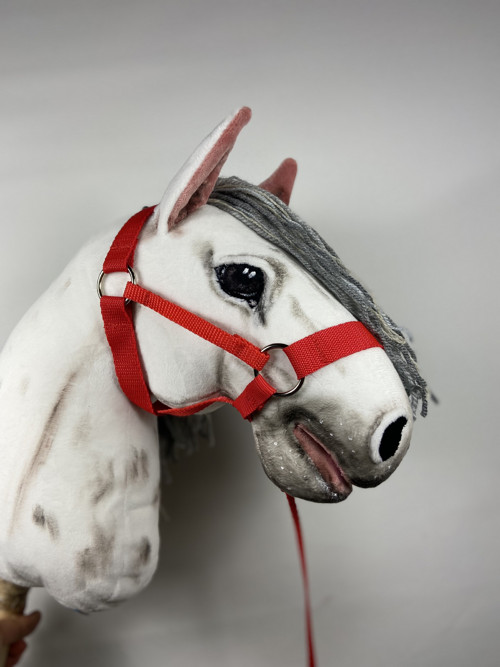 Hobby horse s příslušenstvím- rezervováno — foto 6